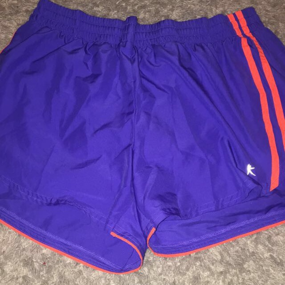 Danskin Now Dri Fit Shorts